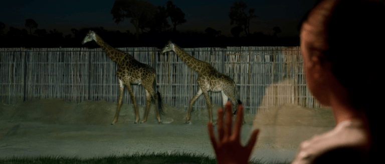 Dubai Safari Park Launches Limited-Time Night Safari Adventure - First In The Region!