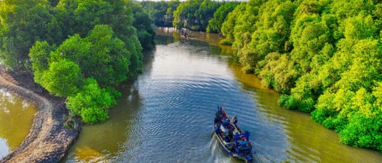 10 Lushous Green Spots You Can't Miss If You Want To Explore Nature In UAE