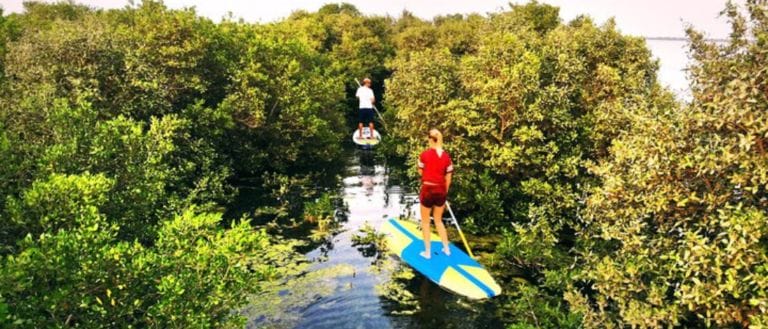 UAE Will Soon Get Its First Ecotrail In The UAQ Mangrove Reserve - With Glowing Geckos, Dune Paths & More