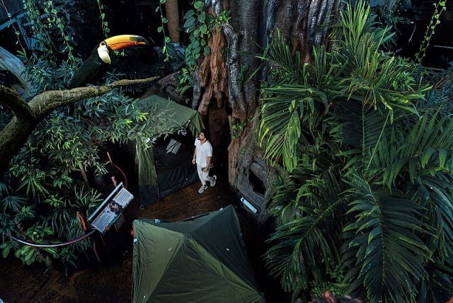 Camping in the Rainforest_Image (2)